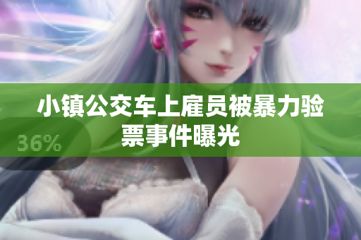 小镇公交车上雇员被暴力验票事件曝光