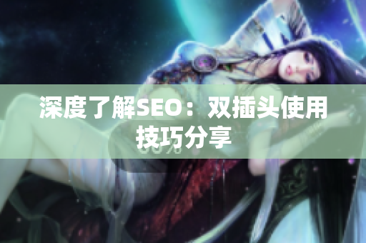 深度了解SEO：双插头使用技巧分享