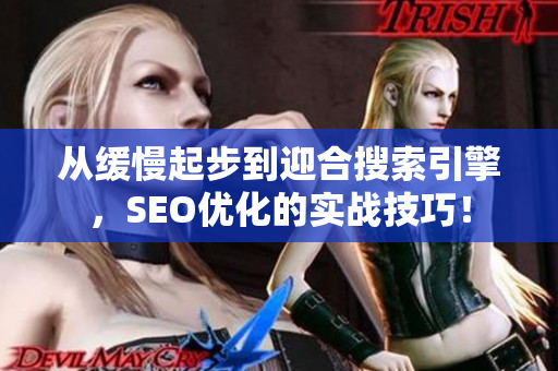 从缓慢起步到迎合搜索引擎，SEO优化的实战技巧！
