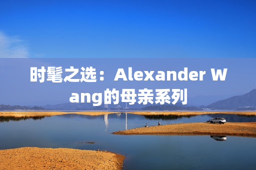 时髦之选：Alexander Wang的母亲系列