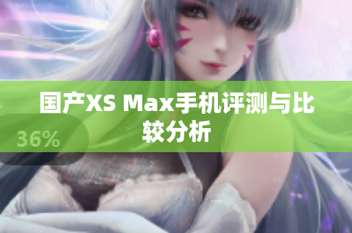 国产XS Max手机评测与比较分析