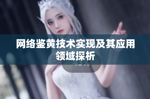网络鉴黄技术实现及其应用领域探析