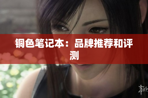 铜色笔记本：品牌推荐和评测