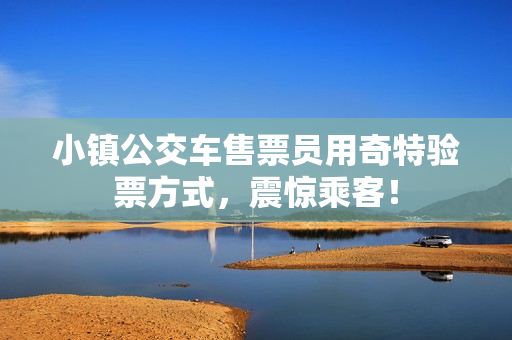 小镇公交车售票员用奇特验票方式，震惊乘客！