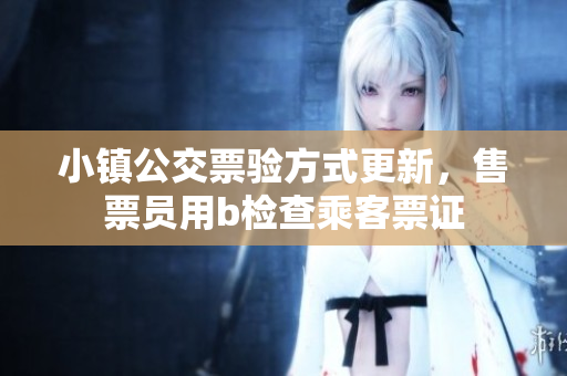 小镇公交票验方式更新，售票员用b检查乘客票证
