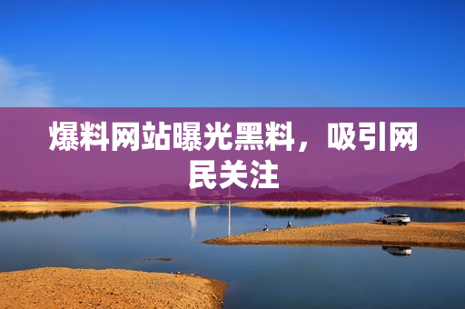 爆料网站曝光黑料，吸引网民关注