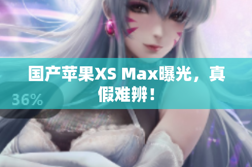 国产苹果XS Max曝光，真假难辨！
