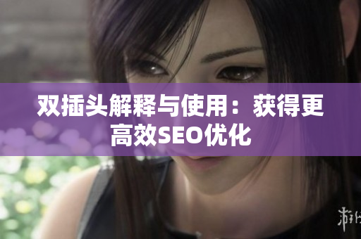 双插头解释与使用：获得更高效SEO优化