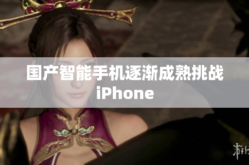 国产智能手机逐渐成熟挑战iPhone