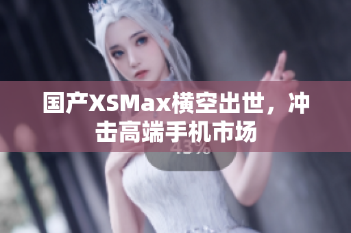 国产XSMax横空出世，冲击高端手机市场