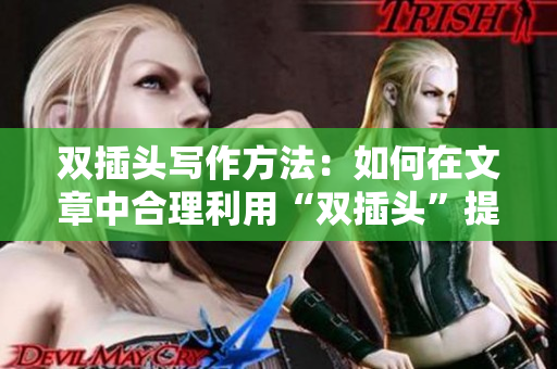 双插头写作方法：如何在文章中合理利用“双插头”提升SEO效果？