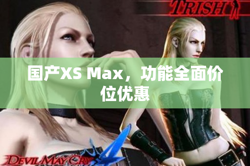 国产XS Max，功能全面价位优惠