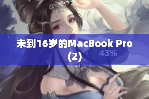 未到16岁的MacBook Pro(2)