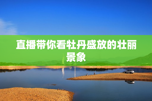 直播带你看牡丹盛放的壮丽景象