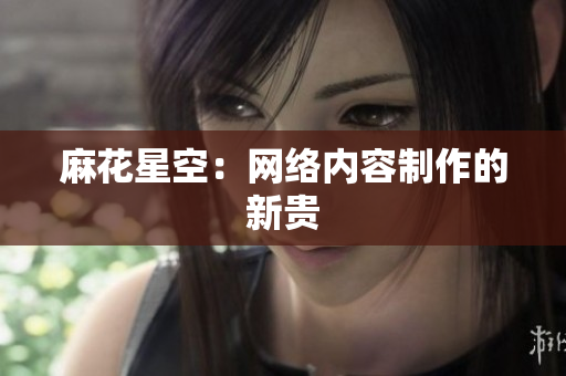 麻花星空：网络内容制作的新贵