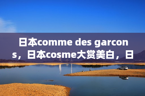 日本comme des garcons，日本cosme大赏美白，日本windowsphone80