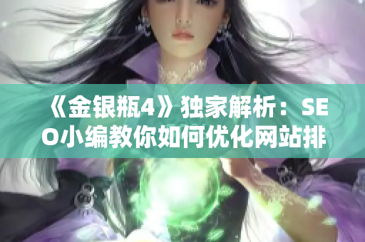 《金银瓶4》独家解析：SEO小编教你如何优化网站排名