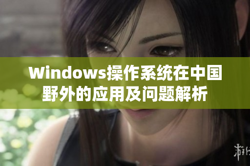 Windows操作系统在中国野外的应用及问题解析
