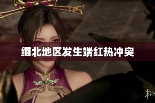 缅北地区发生端红热冲突