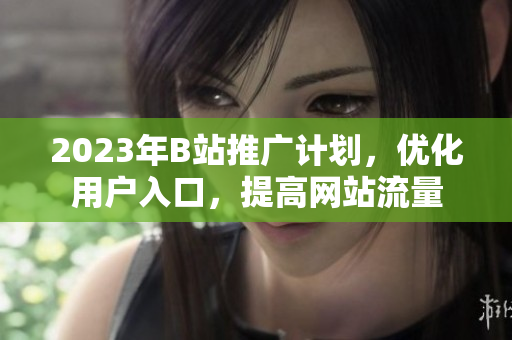 2023年B站推广计划，优化用户入口，提高网站流量
