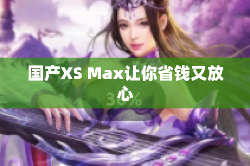 国产XS Max让你省钱又放心