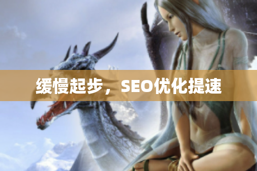 缓慢起步，SEO优化提速