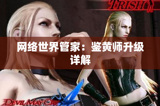 网络世界管家：鉴黄师升级详解