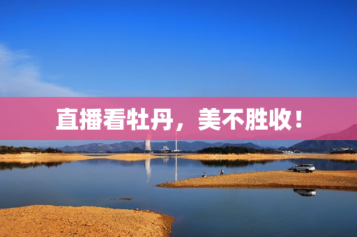 直播看牡丹，美不胜收！