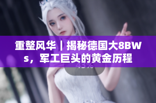 重整风华｜揭秘德国大8BWs，军工巨头的黄金历程