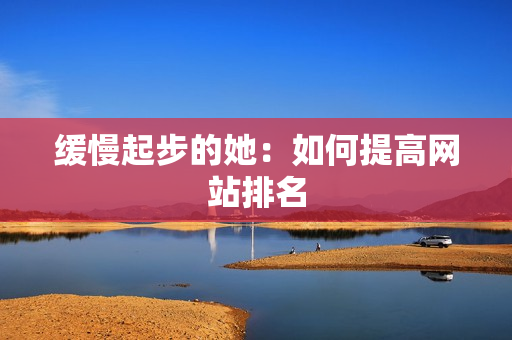缓慢起步的她：如何提高网站排名