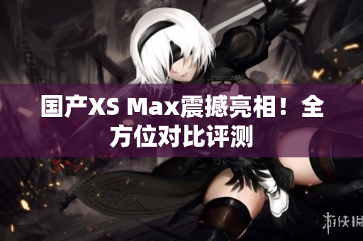 国产XS Max震撼亮相！全方位对比评测