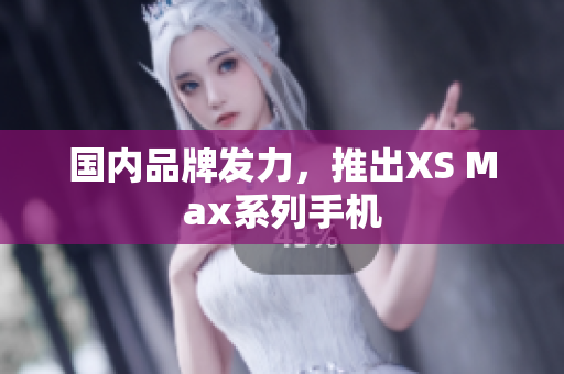 国内品牌发力，推出XS Max系列手机