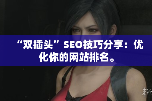 “双插头”SEO技巧分享：优化你的网站排名。