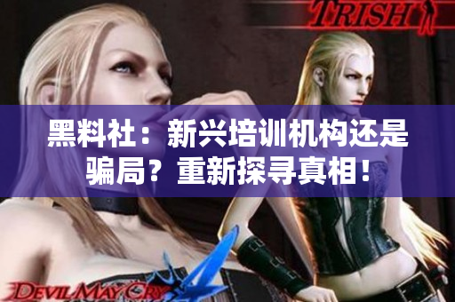 黑料社：新兴培训机构还是骗局？重新探寻真相！