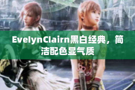 EveIynCIairn黑白经典，简洁配色显气质
