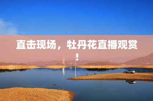 直击现场，牡丹花直播观赏!