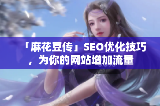 「麻花豆传」SEO优化技巧，为你的网站增加流量