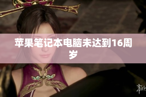 苹果笔记本电脑未达到16周岁