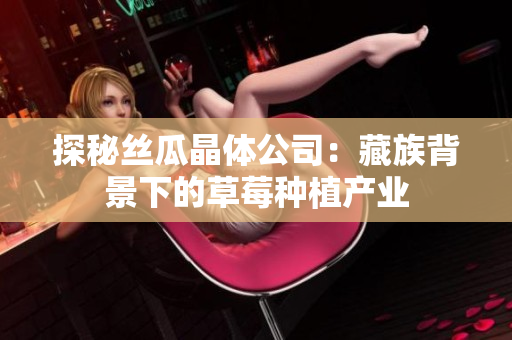 探秘丝瓜晶体公司：藏族背景下的草莓种植产业