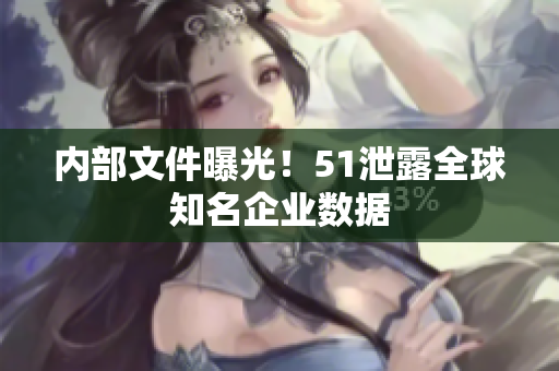 内部文件曝光！51泄露全球知名企业数据