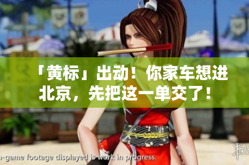 「黄标」出动！你家车想进北京，先把这一单交了！