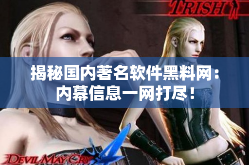 揭秘国内著名软件黑料网：内幕信息一网打尽！