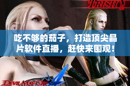 吃不够的茄子，打造顶尖晶片软件直播，赶快来围观！