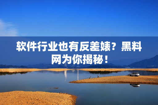 软件行业也有反差婊？黑料网为你揭秘！