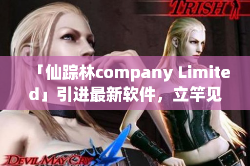 「仙踪林company Limited」引进最新软件，立竿见影提高生产力
