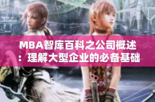 MBA智库百科之公司概述：理解大型企业的必备基础知识