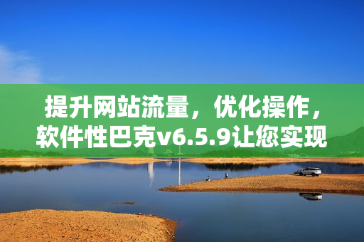 提升网站流量，优化操作，软件性巴克v6.5.9让您实现SEO零难度！
