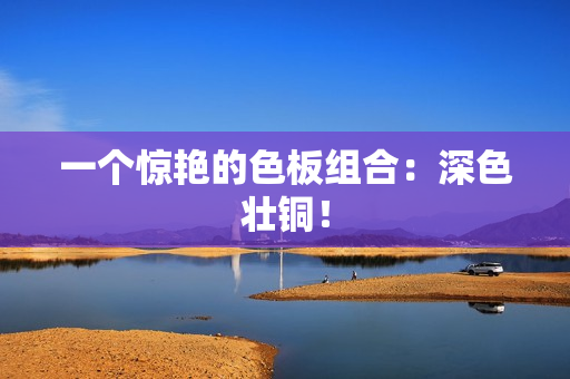 一个惊艳的色板组合：深色壮铜！
