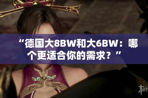 “德国大8BW和大6BW：哪个更适合你的需求？”
