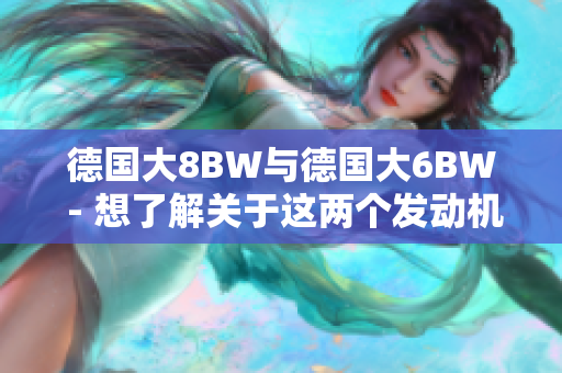 德国大8BW与德国大6BW - 想了解关于这两个发动机的一切吗？